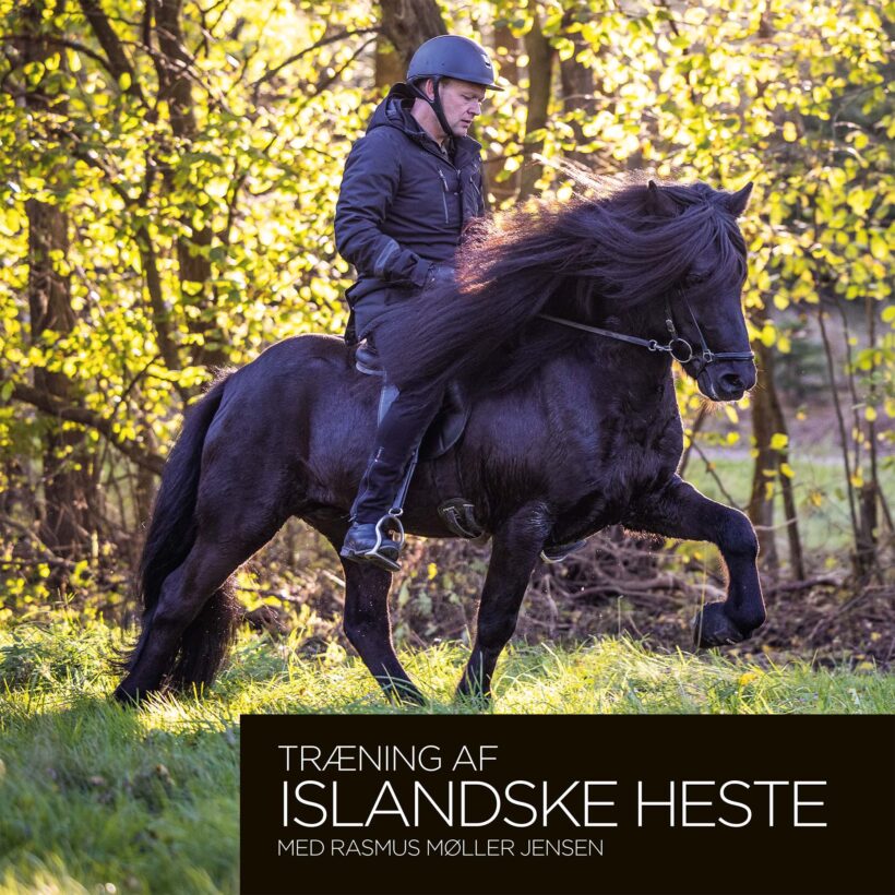 Træning af islandske heste med Rasmus Møller Jensen fra forlaget Indblik